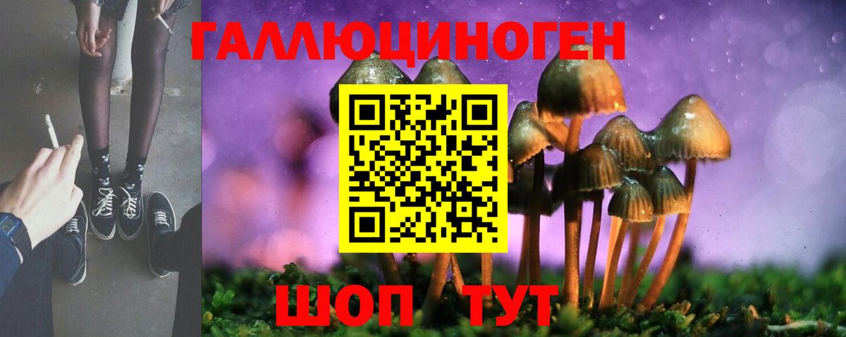Галлюциногенные грибы GOLDEN TEACHER Урай